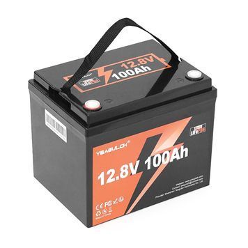 Акумуляторна батарея YEAGULCH Mini Max LiFePO4 12,8V 100Ah 1280Wh, BMS-100A, ( 299 x 193 x 200) , M8, 12.9kg Q1 DRQ-BMS-714494 фото
